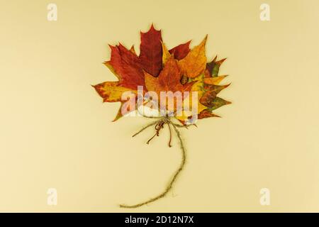 Autumn bouquet of dry maple leaves on beige background. Stock Photo