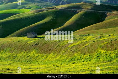 flowering rolling hills of a Sicily landscape with a rural house in the evening