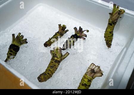 Retail display shelf of Wasabi or Japanese horseradish Stock Photo