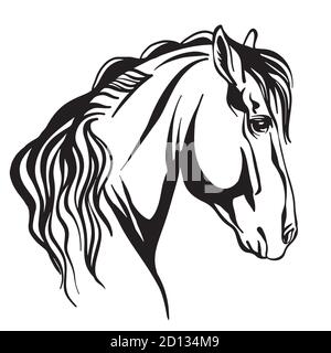 Abstract portrait of isolated black contour horse Stock Vector