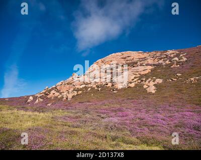 Red granite outcrop on Muckle Roe, Shetland, UK - these rocks are of the Muckle Roe Intrusion - granite, granophyric - igneous bedrock formed 359 to 3 Stock Photo