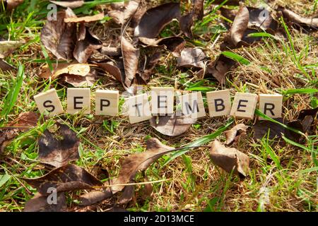 The word September is written in wooden letters on a background of fallen leaves. Autumn concept and calendar concept.  Copy space Stock Photo