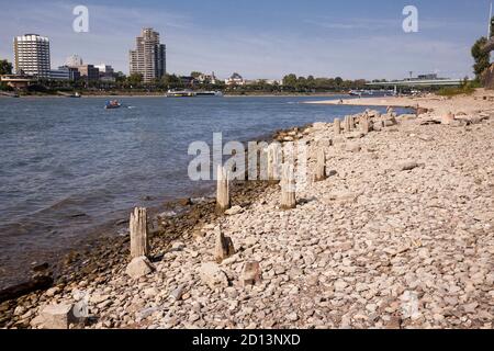 remains of an old wooden landing pier on the banks of the Rhine in the dirstrict Deutz, Cologne, Germany.  Reste eines alten Bootsteges am Rheinufer i Stock Photo