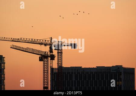 Tall Construction Cranes Stock Photo
