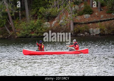 Canoeing in Algonquin Park Stock Photo