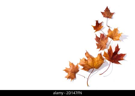 Autumn composition. Dried leaves on whitebackground. Top view. Flat lay. Stock Photo