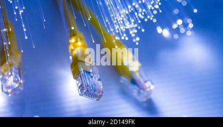 network connection cable with optical fiber Stock Photo