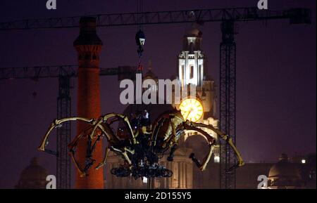 A giant mechanical spider, part of a piece of 'free theatre' by French company La Machine entitled 'Les Mecaniques Servants', is lowered into Liverpool's Salthouse Dock, September 5, 2008. The 37 tonne spider which stands at 50 feet (15 metres) tall is in Liverpool as part of the city's European capital of culture celebrations. REUTERS/Phil Noble (BRITAIN)