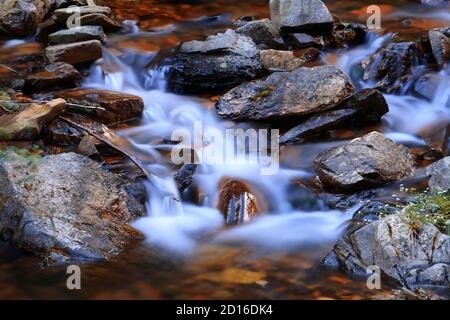 Beautiful cascading water of a forest river. Cool and fresh moor water over wild rocks. Nature background. Wellness and forest bathing concept. Stock Photo