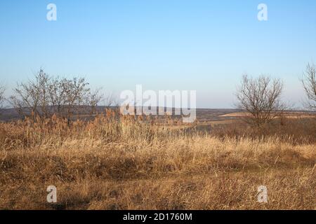 Countriside dirt road landscape, pale autumn Stock Photo