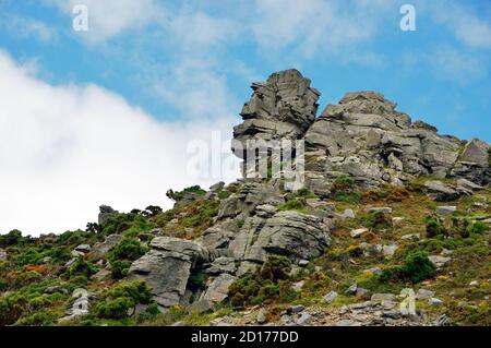 Valley of Rocks is a dry rocky valley on the north Devon coast. It is composed of highly fossiliferous Devonian rocks. Stock Photo