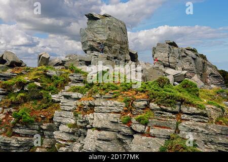 Valley of Rocks is a dry rocky valley on the north Devon coast. It is composed of highly fossiliferous Devonian rocks. Stock Photo
