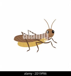 Locust. Vector illustration isolated on white background. Stock Vector