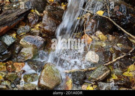 Water Falling from a Pipe Onto Stones and Autumn Leaves Stock Photo