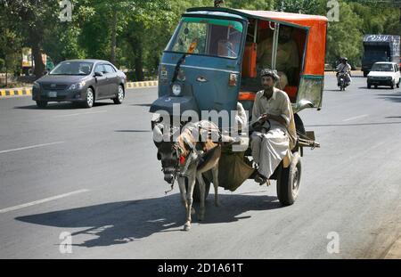 A man seated on a donkey cart pulled by two donkeys alongside the road ...