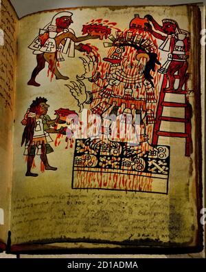 Facsimile of the Tudela Codex exhibited at the Museo de América in Madrid .Valley of Mexico found inLa Coruña , Mexico, Mexicans, (  It is part of a group of colonial codices of Mexico known as the Magliabechiano Group , together with the Magliabechiano Codex) Stock Photo