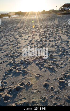 Passage across the sand at sunset Stock Photo