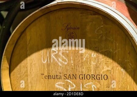 The Tenuta San Giogio prefers to work with French oak, Circolo d'Agno, Switzerland Stock Photo