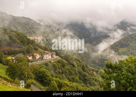 Chestnut trees in the Valle di Muggio. Even today, an annual chestnut festival is celebrated. In the past, chestnuts were a staple food of the rural poor. Impressions in the Ticino Muggio Valley, Breggia, Switzerland Stock Photo