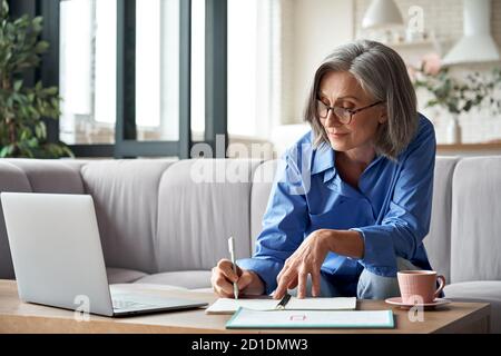 Stylish mature older woman working from home on laptop taking notes. Stock Photo