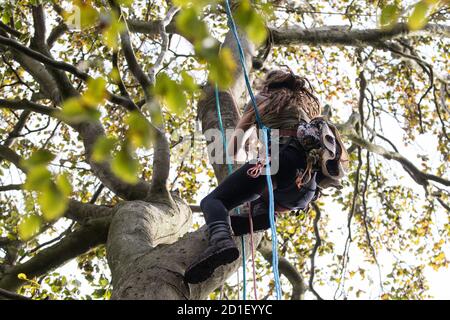 Aylesbury Vale, UK. 5th October, 2020. A tree protector climbs towards a tree house about sixty feet above ground at a wildlife protection camp in ancient woodland at JonesÕ Hill Wood. The JonesÕ Hill Wood camp, one of several protest camps set up by anti-HS2 activists along the route of the £106bn HS2 high-speed rail link in order to resist the controversial infrastructure project, is currently being evicted by National Eviction Team bailiffs working on behalf of HS2 Ltd. Credit: Mark Kerrison/Alamy Live News Stock Photo