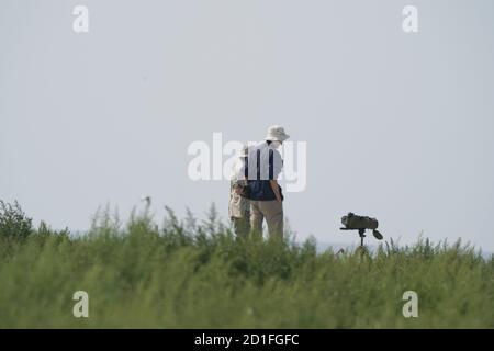 Serious Bird watchers Stock Photo