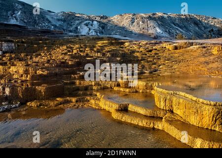 Mammoth Hot Springs, at sunrise,, Yellowstone National Park, Wyoming, USA Stock Photo