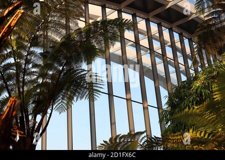 Sky Garden interior , London , UK Stock Photo