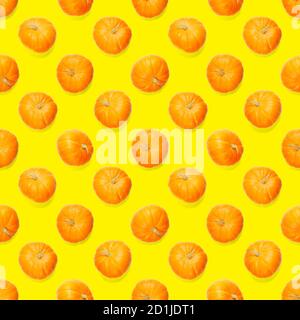 Seamless pattern with pumpkin. Autumn abstract seamless pattern made from Pumpkins on the yellow background. Pumpkin quality pattern. Stock Photo