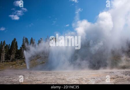 Grand Geyser erupting, Upper Geyser Basin, Yellowstone National Park, Wyoming, USA Stock Photo