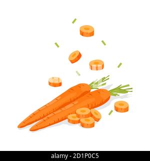 Fresh vegetable Carrot falling vector in white background Stock Vector