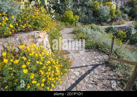 Taormina - The path among the spring mediterranean flowers. Stock Photo