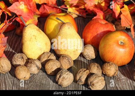 Äpfel, Birnen und Walnüsse auf einem rustikalen Holztisch als herbstliches Motiv Stock Photo