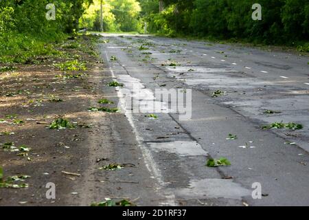 asphalt road through the forest, all strewn with branches and leaves after the storm, selective focus Stock Photo