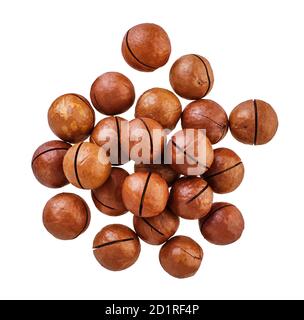 heap of macadam nuts with clipping path on a white isolated background Stock Photo