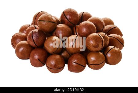 macadam nuts with clipping path on a white isolated background Stock Photo