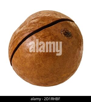 macadam nuts with clipping path on a white isolated background Stock Photo