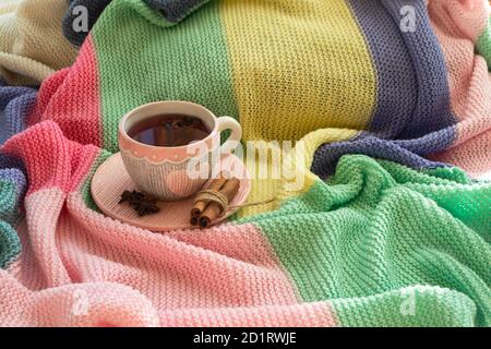 Autumn concept, mug of tea with spices and a chunky knitted woolen colorful background. Stock Photo