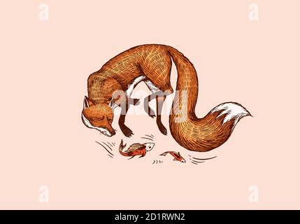 Fox plays with fish. Forest ginger beast. Vector Engraved hand drawn Vintage sketch for label or poster. Stock Vector