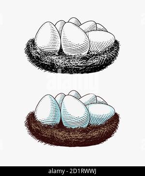 Nest of eggs. Farm product. Engraved hand drawn retro vintage sketch. Woodcut style. Vector illustration for menu or poster or easter. Stock Vector