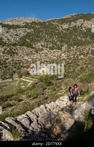 traditional cobblestone path, Sa Pica des Garrover, Tossals Verds section, lloseta, Mallorca, Balearic Islands, Spain Stock Photo