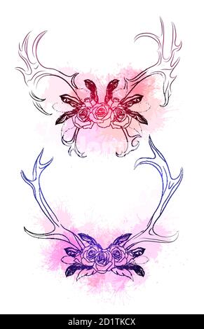 Set of  deer horns with feather, rose and gentle watercolor splashes. Outline drawing on white background. Vector tribal element for invitations, gree Stock Vector