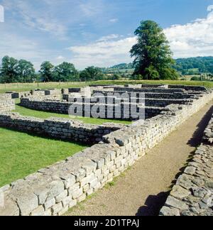 HADRIAN'S WALL: CHESTERS ROMAN FORT, Northumberland. View of the barrack blocks. Stock Photo