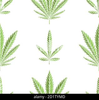 Seamless texture of green leaves of marijuana in row on white background. Vector herbs pattern for fabrics, wallpapers and your creativity. Stock Vector