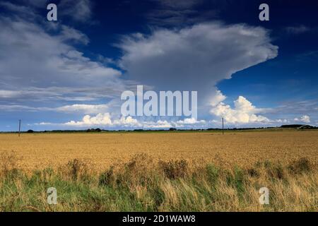 Cumulonimbus Storm clouds over Fenland fields, near Wisbech town, Cambridgeshire, England, UK Stock Photo