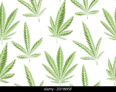 Seamless texture of green leaves of marijuana on a white background. Vector herbs pattern for fabrics, wallpapers and your creativity. Stock Vector