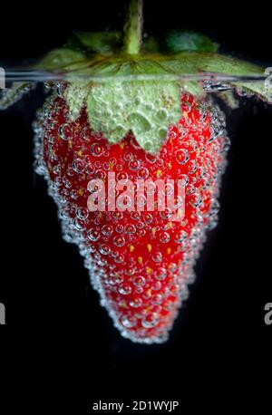 Fresh strawberry fruit in carbonated water against a black background Stock Photo