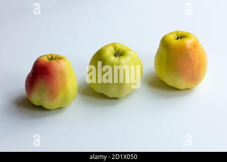Three natural organic apples on a white background. Stock Photo