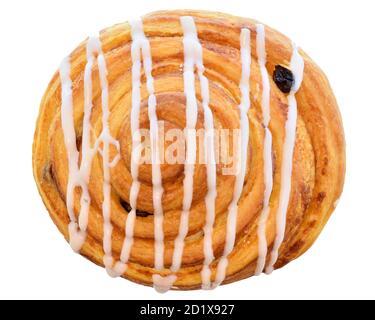 Butter bun snail close-up isolated on a white background. Stock Photo