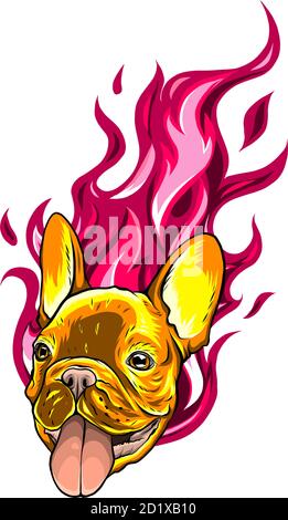 carlino head Dog Flame Tattoo vector illustration Stock Vector